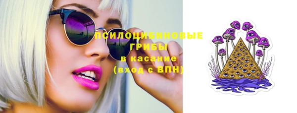 дживик Корсаков