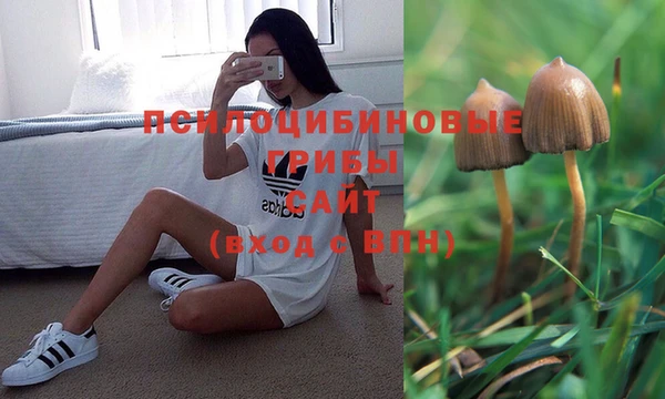 дживик Корсаков